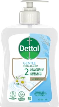 Dettol Dettol Handzeep Kamille 250Ml 1 STUK