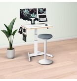 Leitz Leitz Elektr Werkplek Set 2 1 STUK