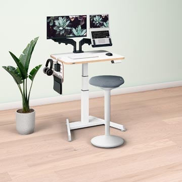 Leitz Leitz Elektr Werkplek Set 2 1 STUK