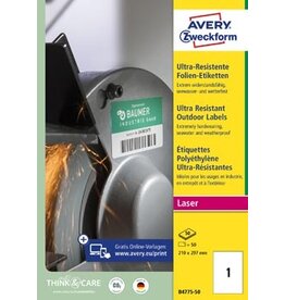 Avery Avery ultra resistente etiketten, ft 209 x 291 mm, doos van 50 etiketten
