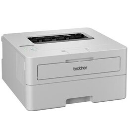 Brother Brother zwart-wit laserprinter HL-L2865DW