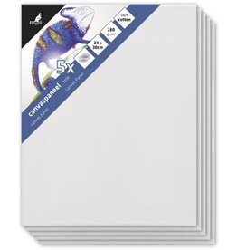 Kangaro Kangaro Canvaspaneel 24X30 P5 1 St