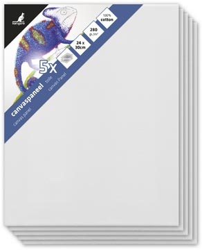 Kangaro Kangaro Canvaspaneel 24X30 P5 1 STUK