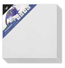 Kangaro Kangaro Canvaspaneel 30X30 P5 1 St