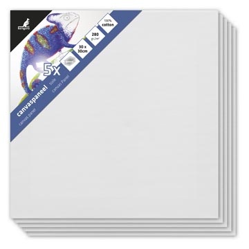 Kangaro Kangaro canvaspaneel, ft 30 x 30 cm, pak van 5 stuks