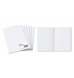 Aurora Aurora ministerpapier, geruit, A4, pak van 240 vel (geplooid)