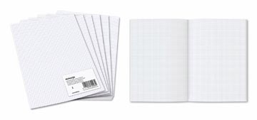 Aurora Aurora ministerpapier, geruit, A4, pak van 240 vel (geplooid)
