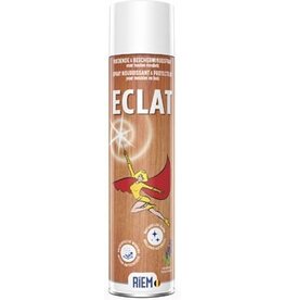 Riem Riem beschermingsspray Eclat, voor houten meubels, spray van 600 ml