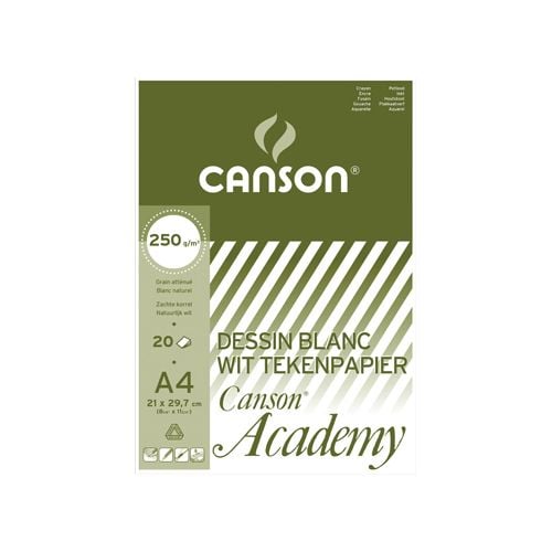 Canson Canson tekenpapier Academy, 250 g, ft 21 x 29,7 cm, A4, blok van 20 vel