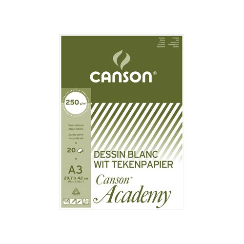 Canson Canson tekenpapier Academy, 250 g, ft 29,7 x 42 cm, A3, blok van 20 vel