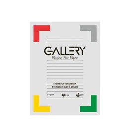 Gallery Gallery Steinbach tekenpapier, 200 g, ft 27 x 36 cm, blok van 20 vel