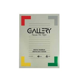 Gallery Gallery Bristol tekenpapier, 200 g, ft 27 x 36 cm, blok van 20 vel