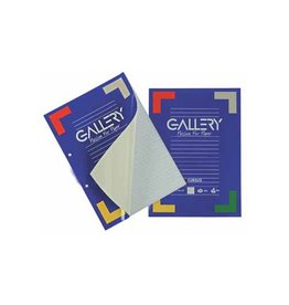 Gallery Gallery cursusblok, ft A4, 80 g/m², 2-gaatsperforatie, gelijnd, 100 vel