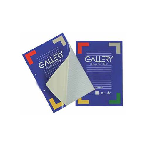 Gallery Gallery cursusblok, ft A4, 80 g/m², 2-gaatsperforatie, gelijnd, 100 vel