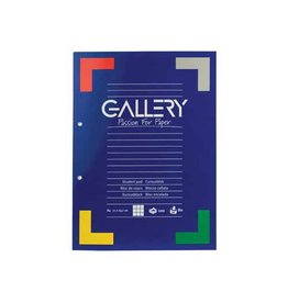 Gallery Gallery cursusblok, ft A4, 80 g/m², 2-gaatsperforatie, geruit 5 mm, 100 vel