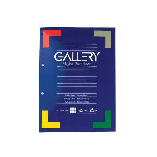 Gallery Gallery cursusblok, ft A4, 80 g/m², 2-gaatsperforatie, commercieel geruit, 100 vel