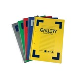 Gallery Gallery Traditional spiraalschrift ft A4, gelijnd, geassorteerde kleuren, 160 bladzijden