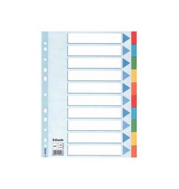 Esselte Gids A4 10Tabs 160Gr Ass.11G [1st]