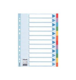 Esselte Gids A4 12Tabs 160Gr Ass.11G [1st]