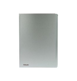 Esselte Pak 100Xhemdmap Blauw 300G.F [1st]