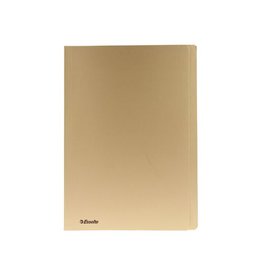 Esselte Pak 100Xhemdmap Geel 300G. F [1st]