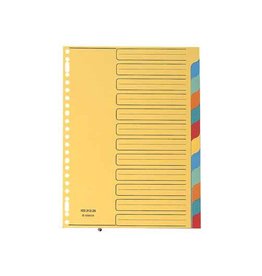 Esselte Gids 12Tabs Karton Felle Kl.23 [1st]