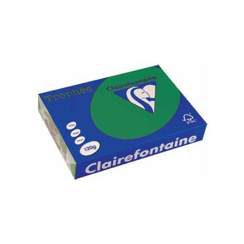 Clairefontaine Papier Clairefontaine Trophée Intens A4, 120g, 250vel, dennengroen