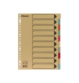 Esselte Gids Karton 300G 10Tab 23G [1st]
