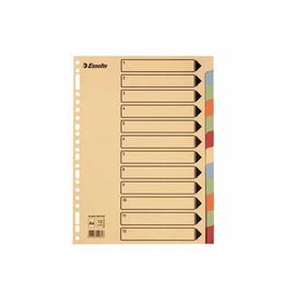 Esselte Gids Karton 300G 12T.23G [1st]