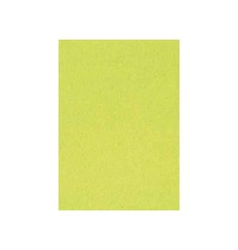 Merkloos Gekleurd tekenpapier, 120 g, ft 21 x 29,7, A4, lichtgroen, pak van 500 vel