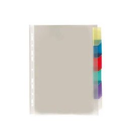 Viquel Set 6 Gidsen Pl.A4 Vr Poch Pp [1st]