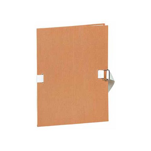 Exacompta Exacompta Uitschuifmap — levering per 10