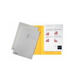 Esselte Pak 100Xhemdmap Grijs 180G.A4 [1st]