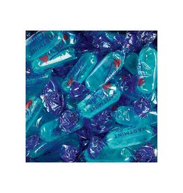 Trefin Trefin Muntjes Hartmint 3Kg [1st]