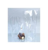 Folia Folia Doorzichtige zakjes ft 145 x 235 mm, pak van 10 stuks