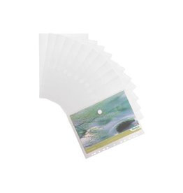 Tarifold collection Showtas Perf A4 Transp 12X [1st]