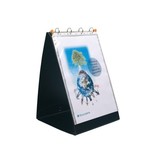 Exacompta Exacompta Presentatiemap Exashow voor ft A3, verticaal (ft 49 x 32 cm)