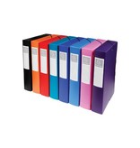 Exacompta Exacompta elastobox rug van 6 cm                         geassorteerde kleuren