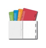Adoc Adoc Colorlines schrift, ft A4, 144 bladzijden,commercieel geruit, geassorteerde kleuren
