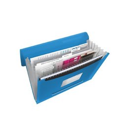 Esselte Projectmap Viv Blauw [1st]