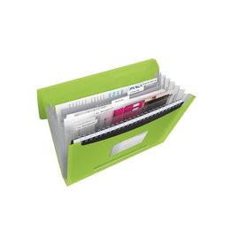 Esselte Projectmap Viv Groen [1st]