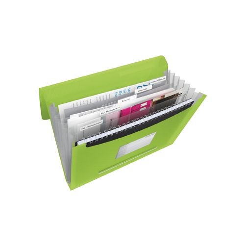 Esselte Esselte projectmap Vivida groen