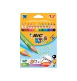 Bic Kids Bic kleurpotlood Ecolutions Evolution Triangle 12 potloden in een kartonnen etui