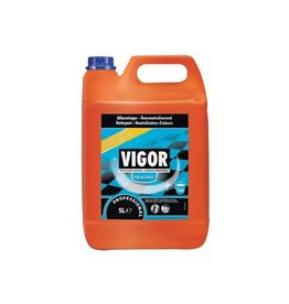 Vigor Vigor Allesreinig Fresh For 5L [1st]