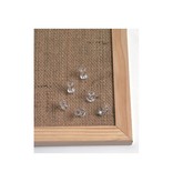 Naga prikbordspelden, transparant