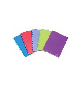 Atoma Atoma Trendy schrift, ft A4, 144 bladzijden, PP, commercieel geruit, geassorteerde kleuren