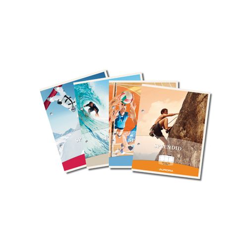 Aurora Aurora Splendid cursusblok, ft A4, 70 g/m², 2-gaatsperforatie, geruit 10 mm, 100 vel