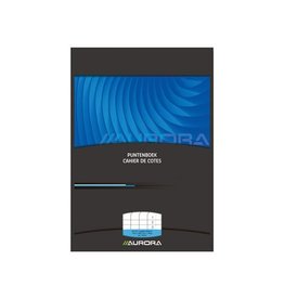 Aurora Puntenboek A4 [1st]