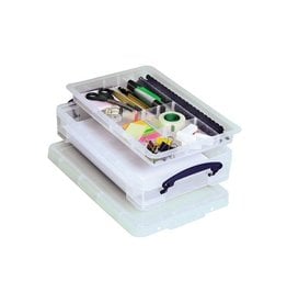Really Useful Box Really Useful Box opbergdoos 4 liter met divider, transparant