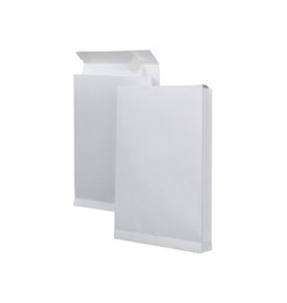 Bong Env Wit 229X324X40 Str Ds125 [1st]